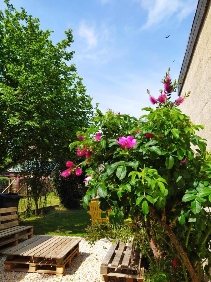 Maison Chic & Charme Calme Avec Jardin Le Mans Buitenkant foto